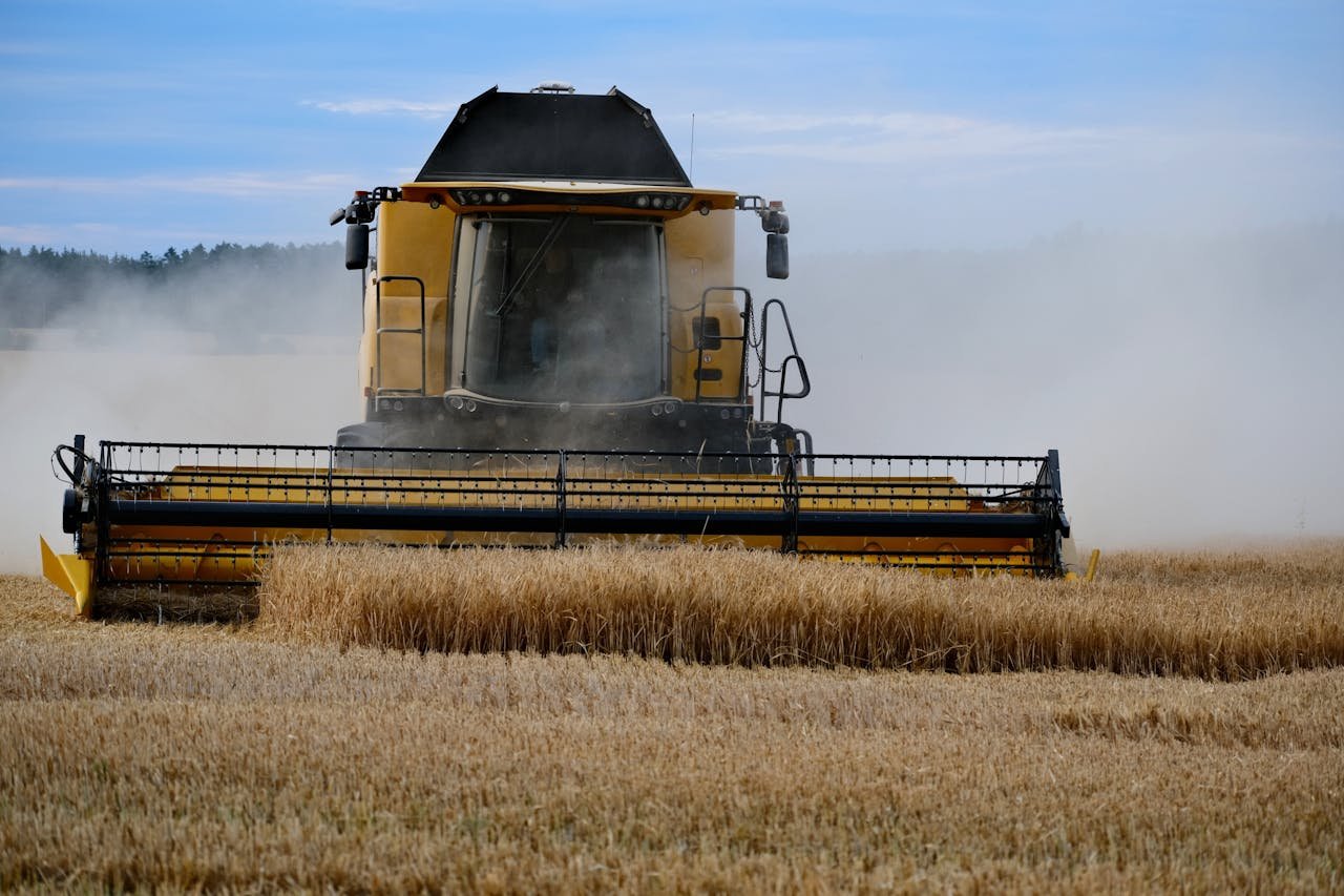 A combine harvester efficiently threshing wheat under a clear blue sky, highlighting agricultural productivity.
